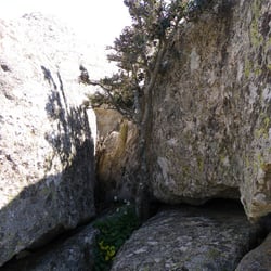 Stütze