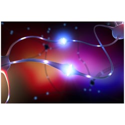 | Cb3D | Medizin