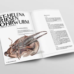 Editoriale Arbeiten für ein Buchprojekt in Deutschland