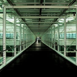 Am Flughafen II
