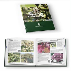 Layout und Reinzeichnung Produktkatalog
