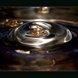 Ohne Titel