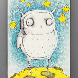 Owl.2016