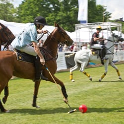 polo bs kl 13