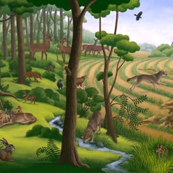 Lebensraum Wald