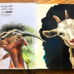 Links: Buntstift, Rechts: Gouache