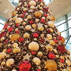 Christmas 2013 Part – 03