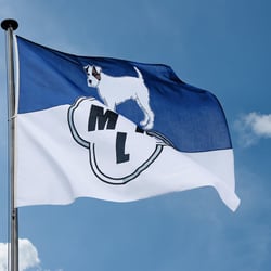 Foto: »Die Willen-Fahne«