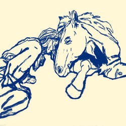Pferd