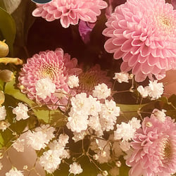 Flower Power / 2022