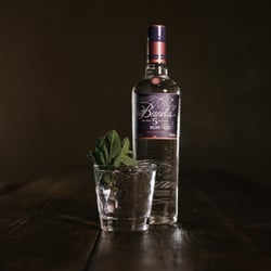 The Kinly Bar