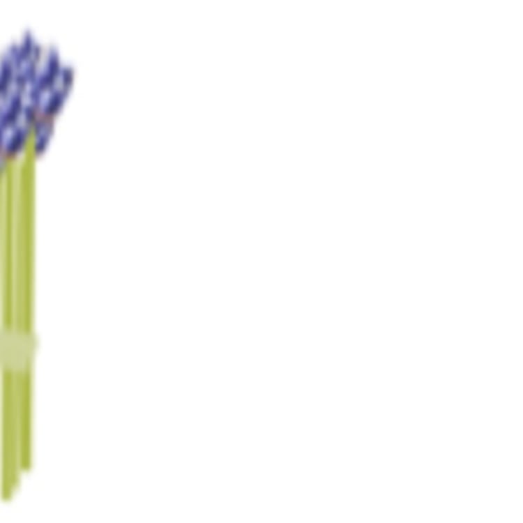 Vmk Naturopath