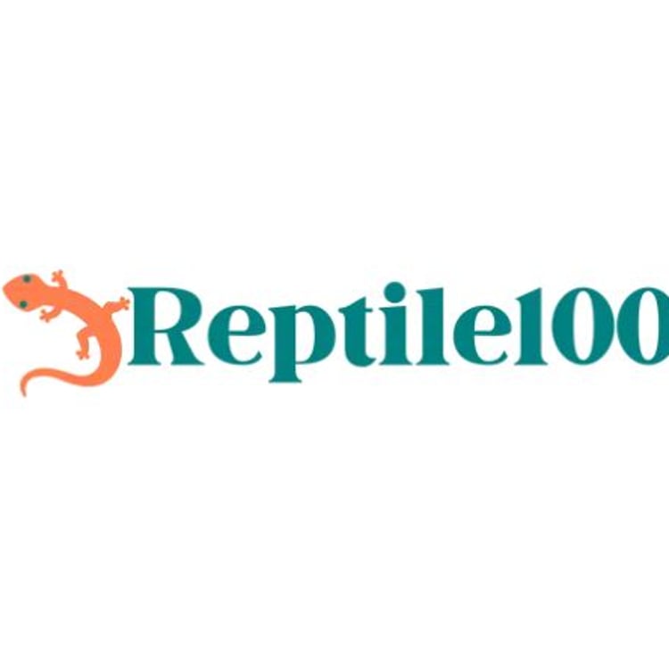 Reptile100 Hamburg