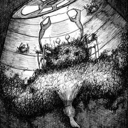 Illustration aus „Unbekannte Tierwelt“