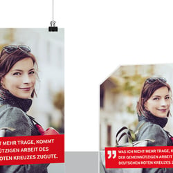 Weitere Bilder auf unserer Webseite