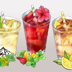 Illustrationen für Icetea-Sirupe HERO
