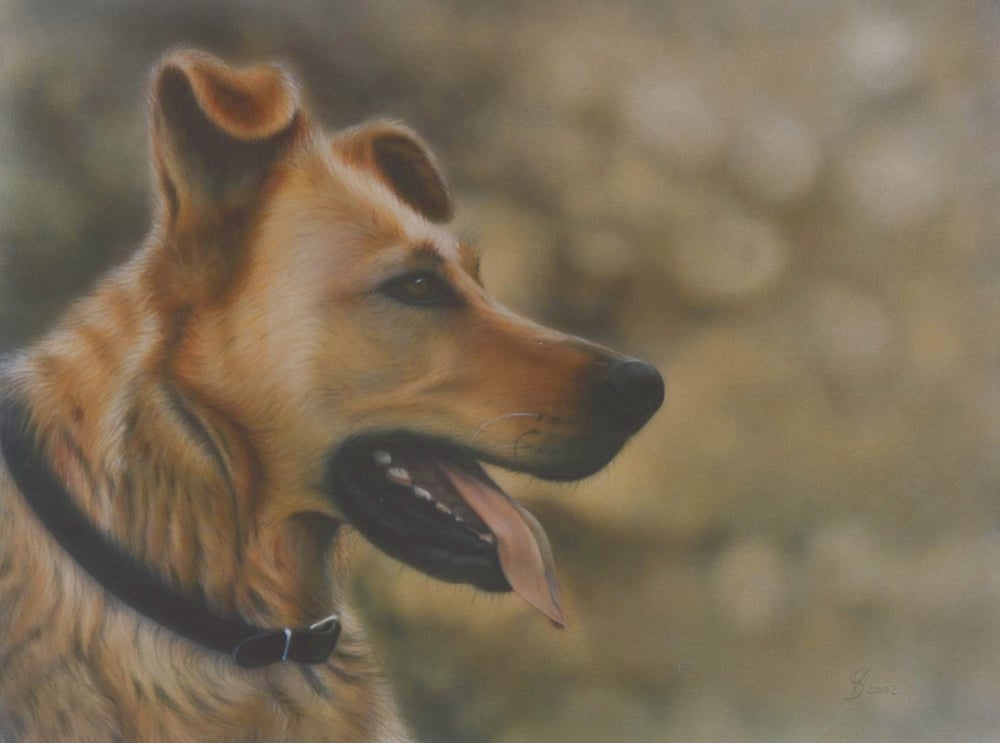 Hundedame Gesa