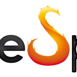 saneSpirit Logo black