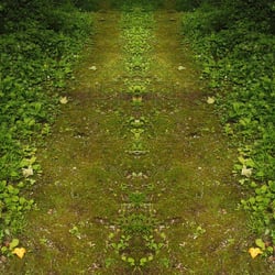 Le chemin