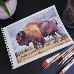 Bison