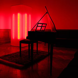 Installation: Direktorenhaus