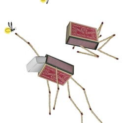 e m
