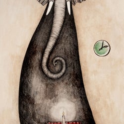 elephant