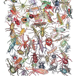insekten