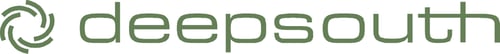 deepsouth