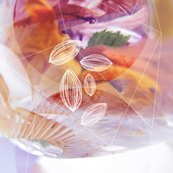 petalcrystal