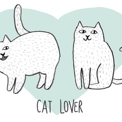 Katzen