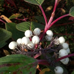 Herbst…Oktober 2012 Teil 02