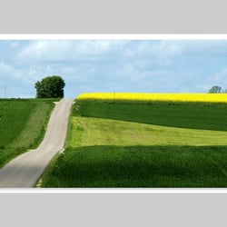 Fotografie-Natur