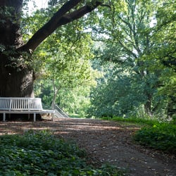 Impressionen Villa Lesmona im Knoop-Parkt