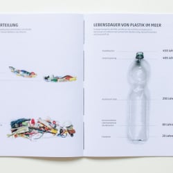Diplomarbeit „Plastikwahn“