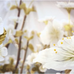 3D Cherry Blossom with mesh
