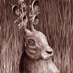 Artwork für Beehoover – Rabbit