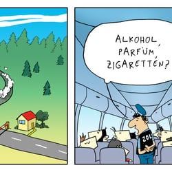 Dienstleister Zoll
