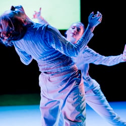 Performing, Moving, Imaging Landscapes
