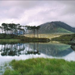 Konzeption und Umsetzung einer Image Kampagne für Tourism Ireland.  Agentur: McCann Erickson Frankfurt