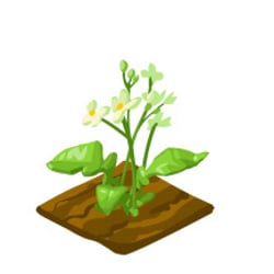 Fabryka Gier | Game Art | Monster World (gardening game) | Growing Steps