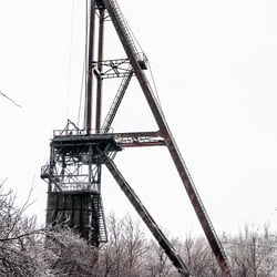 Industrial dinosaur