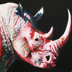rhino