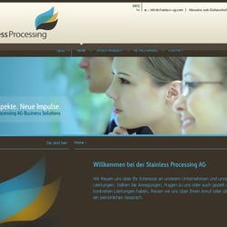 Design, Programmierung, Flash, Logodesign (www.stainless-ag.com)