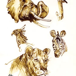 Tier Illustration Touche