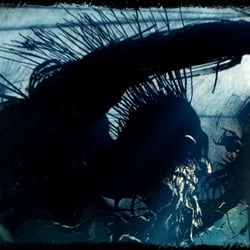 a Monster Calls
