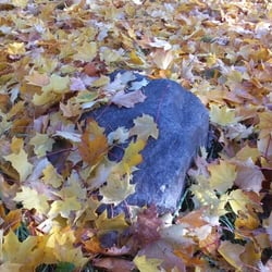 Herbst…Oktober 2012 Teil 02