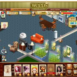 Weeds Social Club