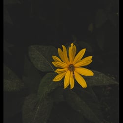 Bildschirmfoto 2023−09−29 um 11.20.31