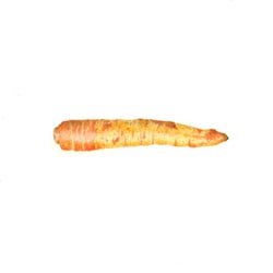 Karotte